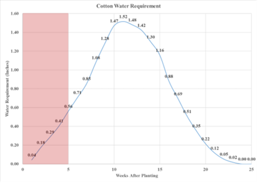 Line graph depicting cotton water requirement over 25 weeks after planting, with water requirement measured in inches on the vertical axis. The graph shows a gradual increase in water need peaking at 1.52 inches around week 11, followed by a steady decline to zero by week 25, with a shaded red area highlighting the initial 5 weeks of planting.