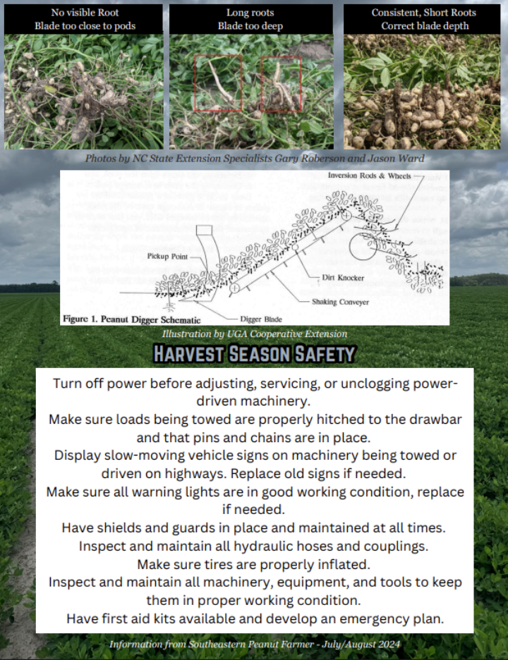 Flyer for Peanut Inverter Set-up Checklist page 2