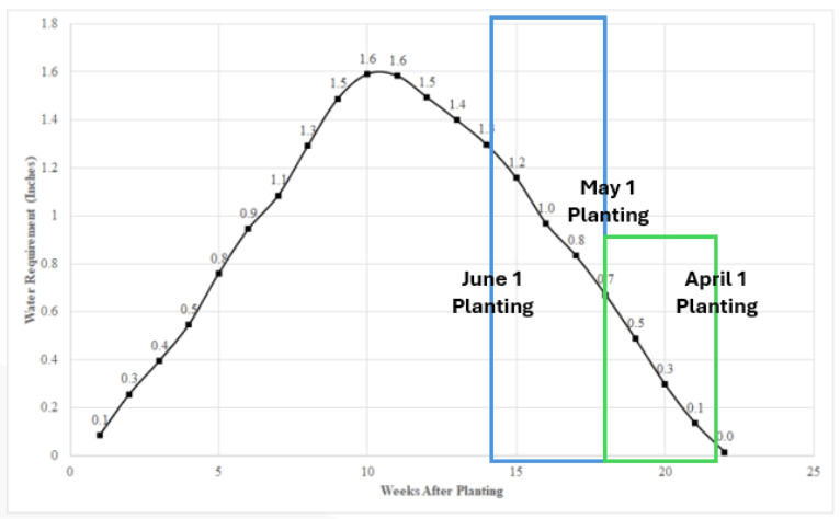 UGA Peanut Water Requirement Curve highlighting the current stage of irrigation required by three planting date.